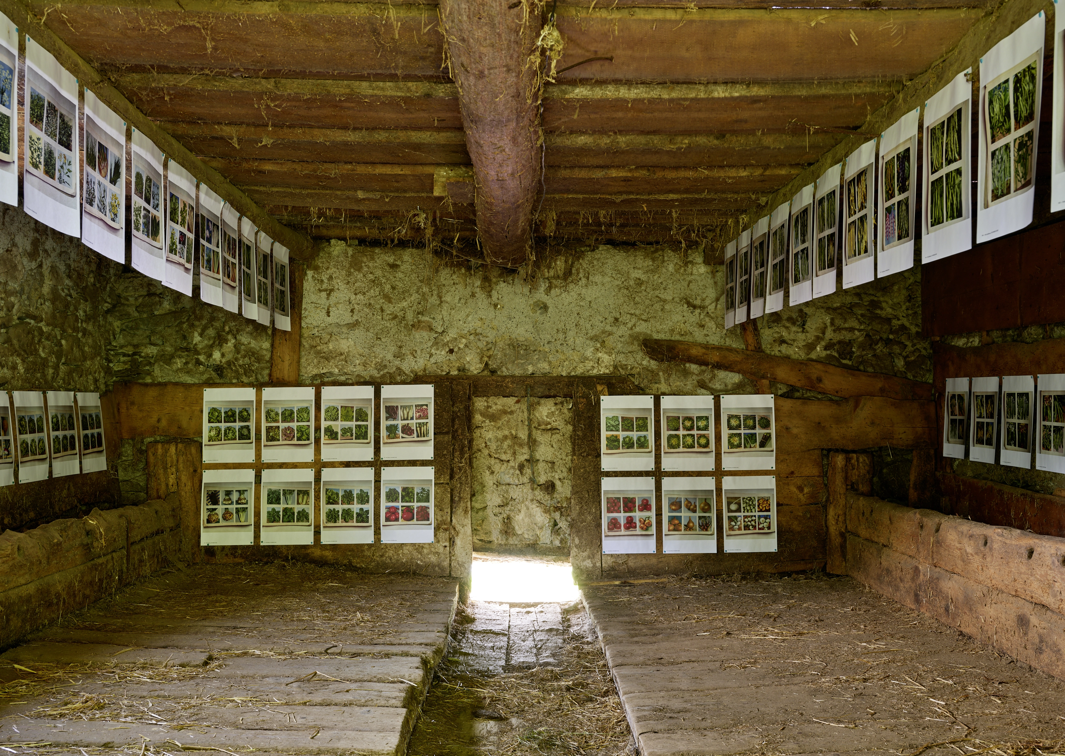 Polly Apfelbaum – Greenhouse, 2022 – Foto: David Aebi