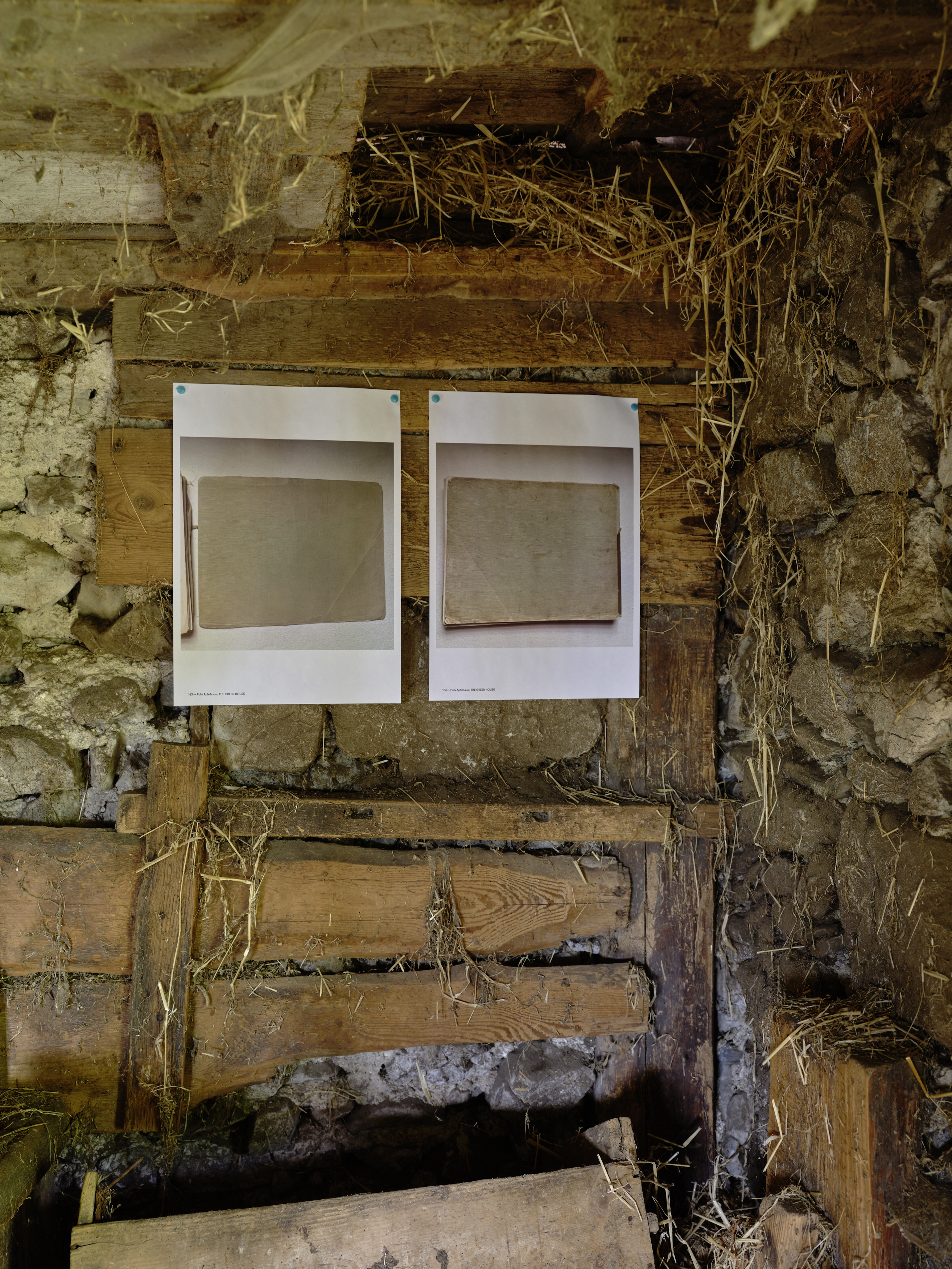 Polly Apfelbaum – Greenhouse, 2022 – Foto: David Aebi