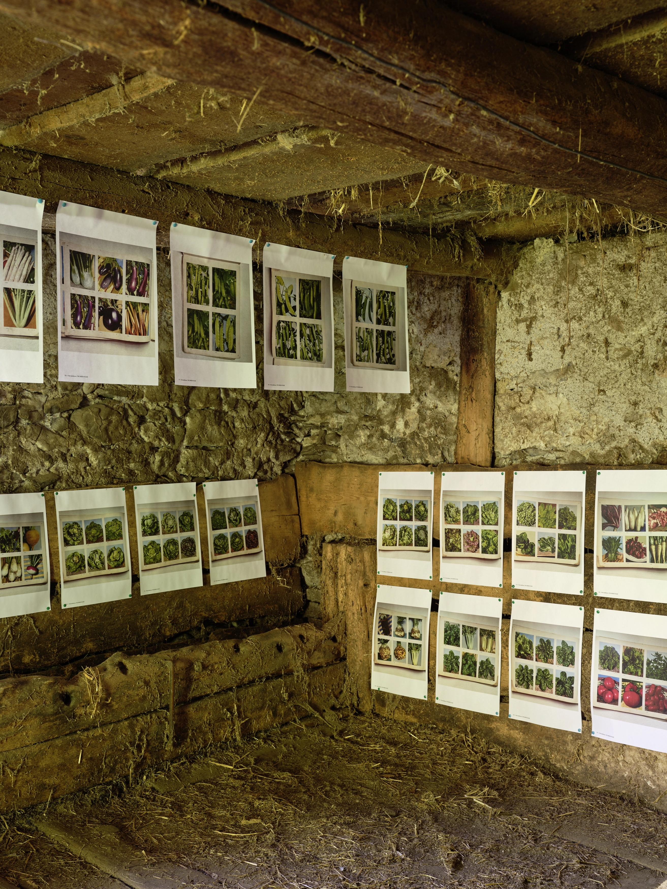 Polly Apfelbaum – Greenhouse, 2022 – Foto: David Aebi