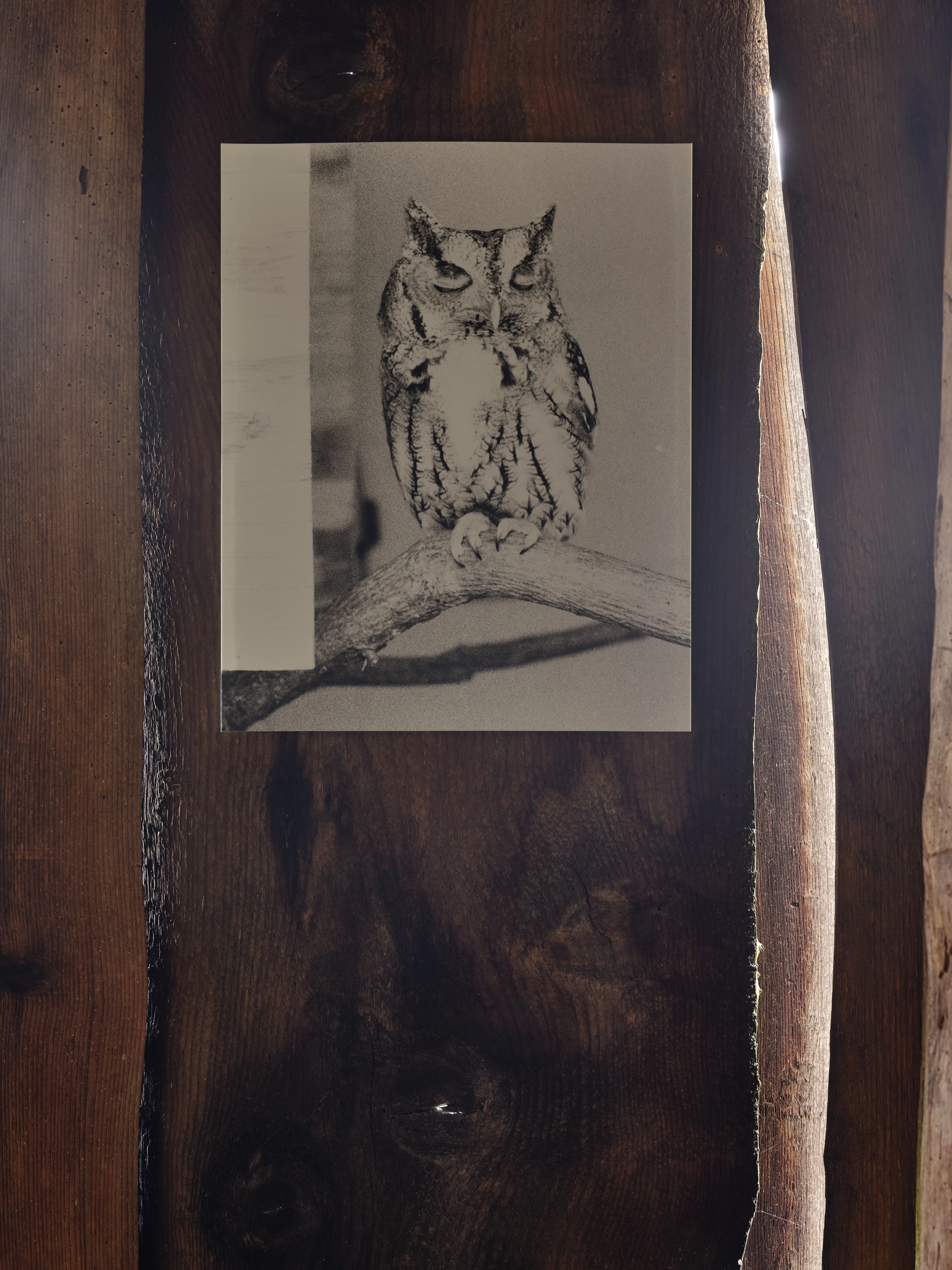 Jochen Lempert – Jochen Lempert – Photographien, 2020 – Foto: David Aebi