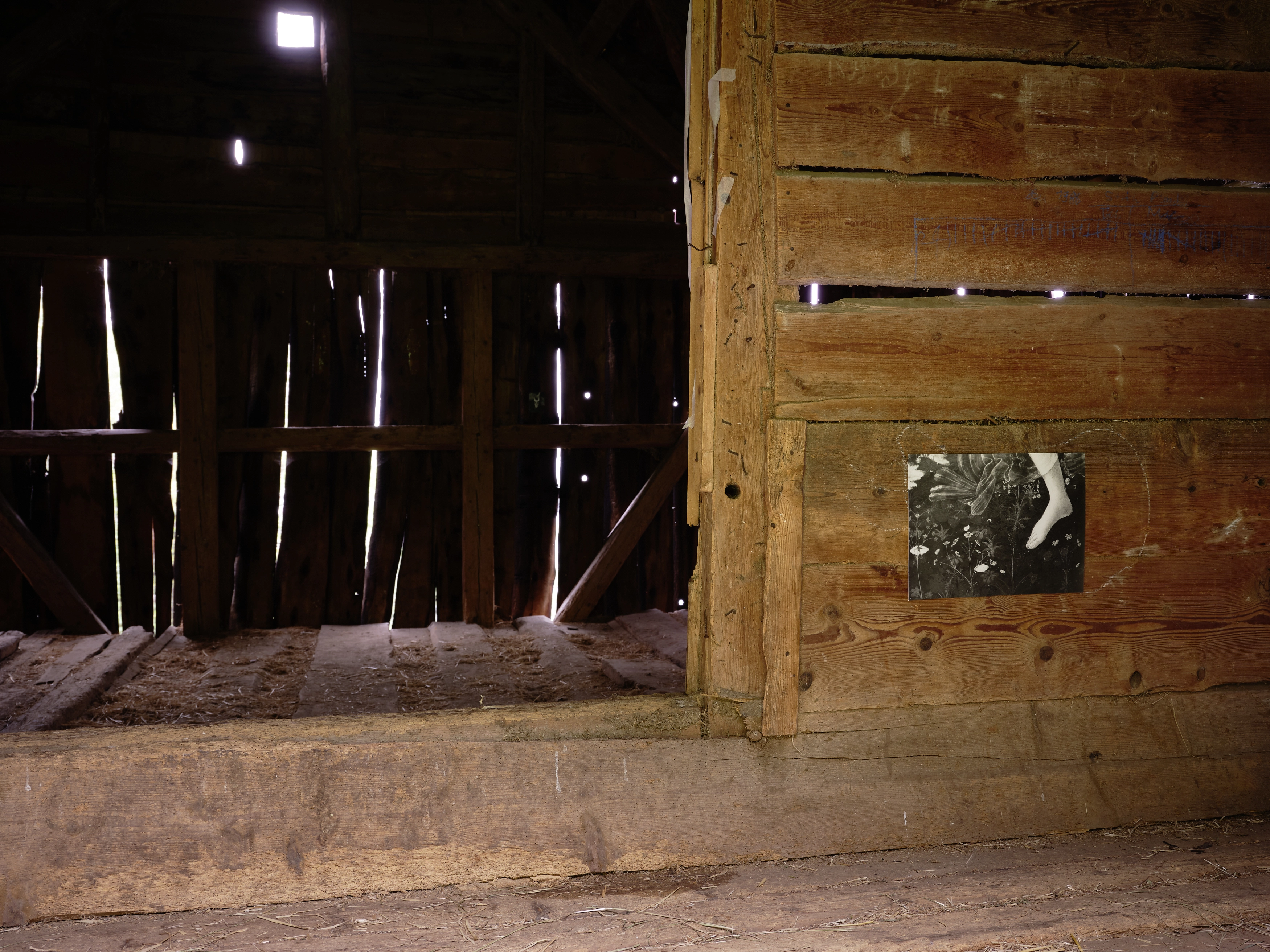 Jochen Lempert – Jochen Lempert – Photographien, 2020 – Foto: David Aebi