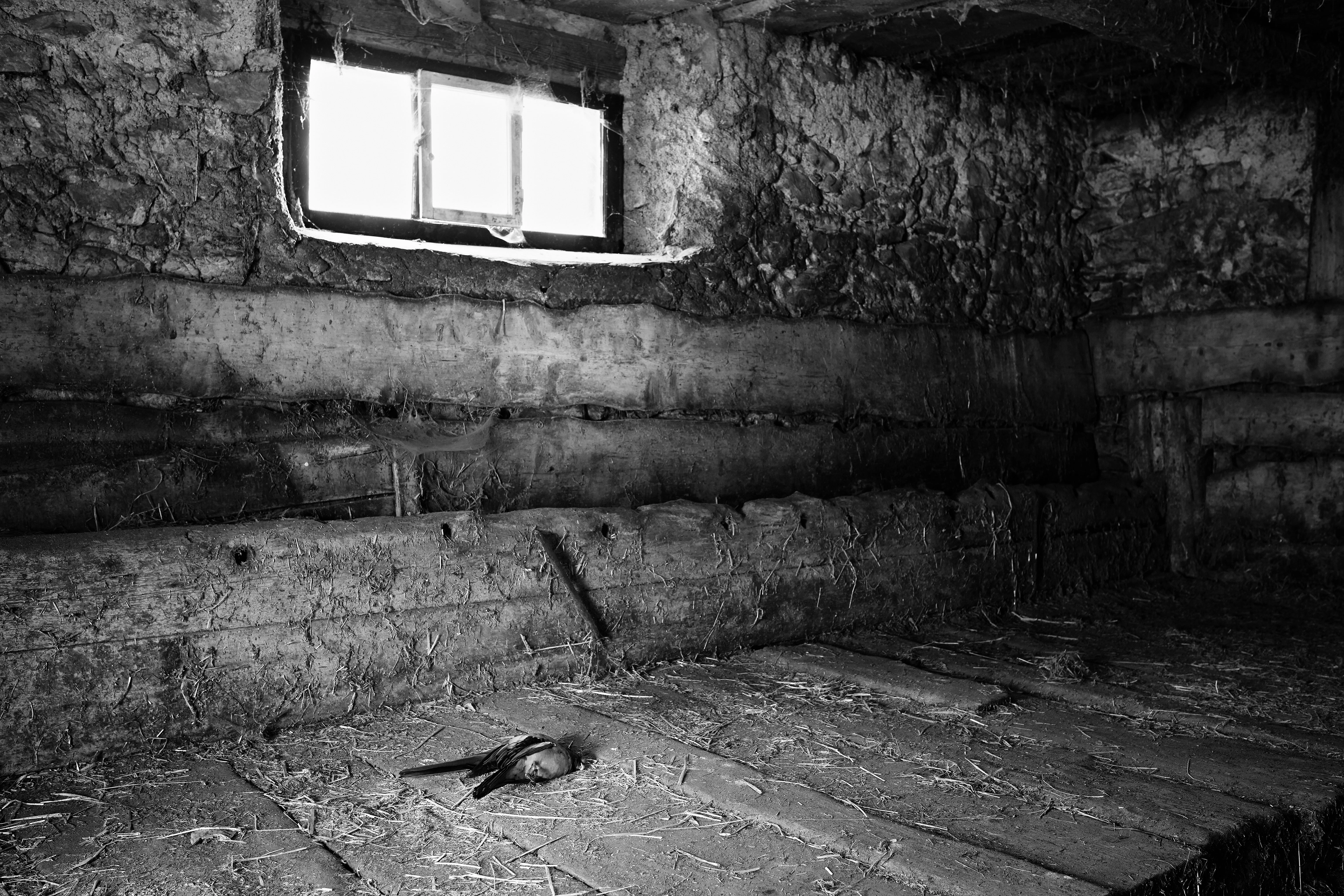 Vanessa Safavi – Der Tanz, 2013 – Foto: David Aebi