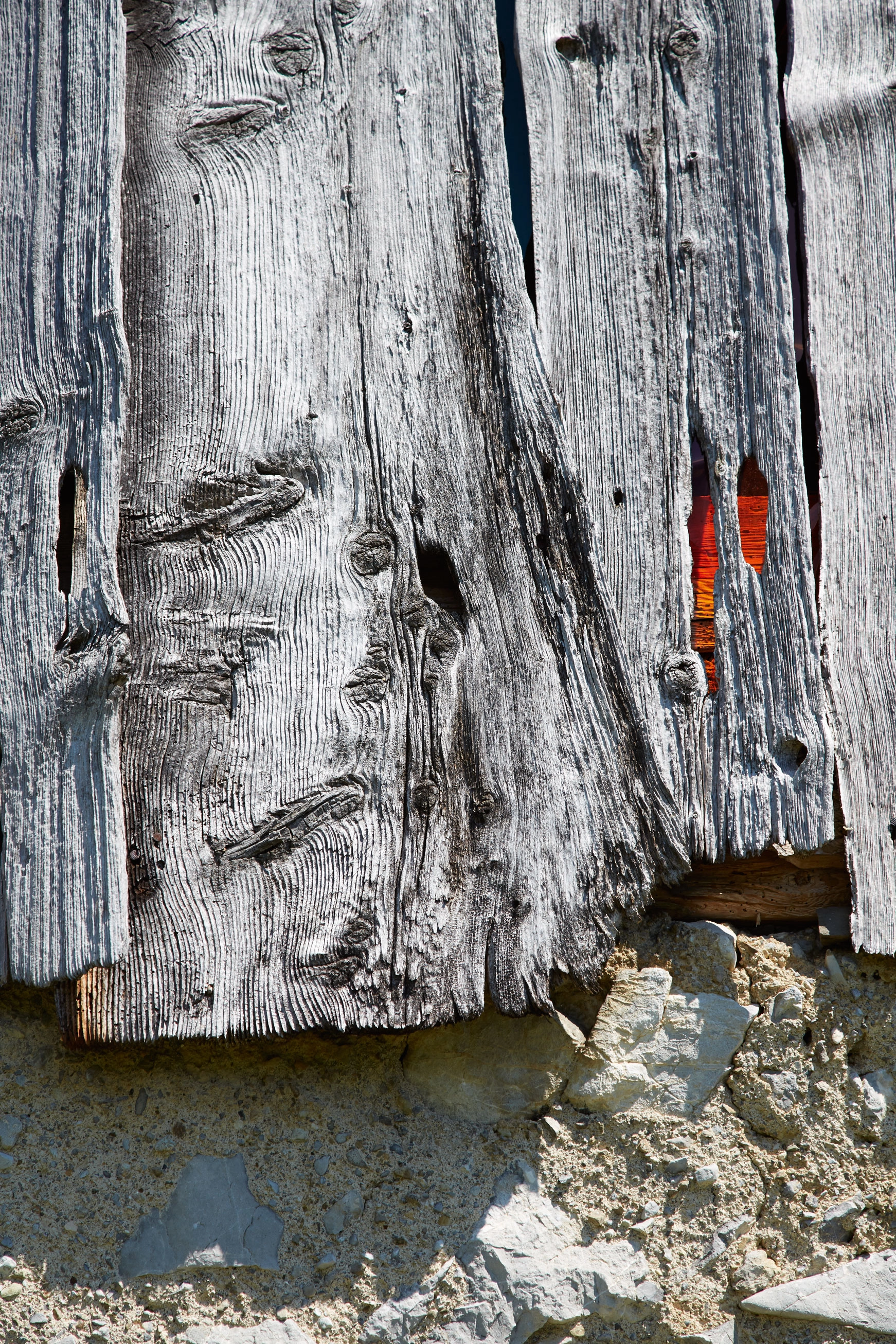 Shirana Shahbazi – Tageslicht, 2013 – Foto: David Aebi