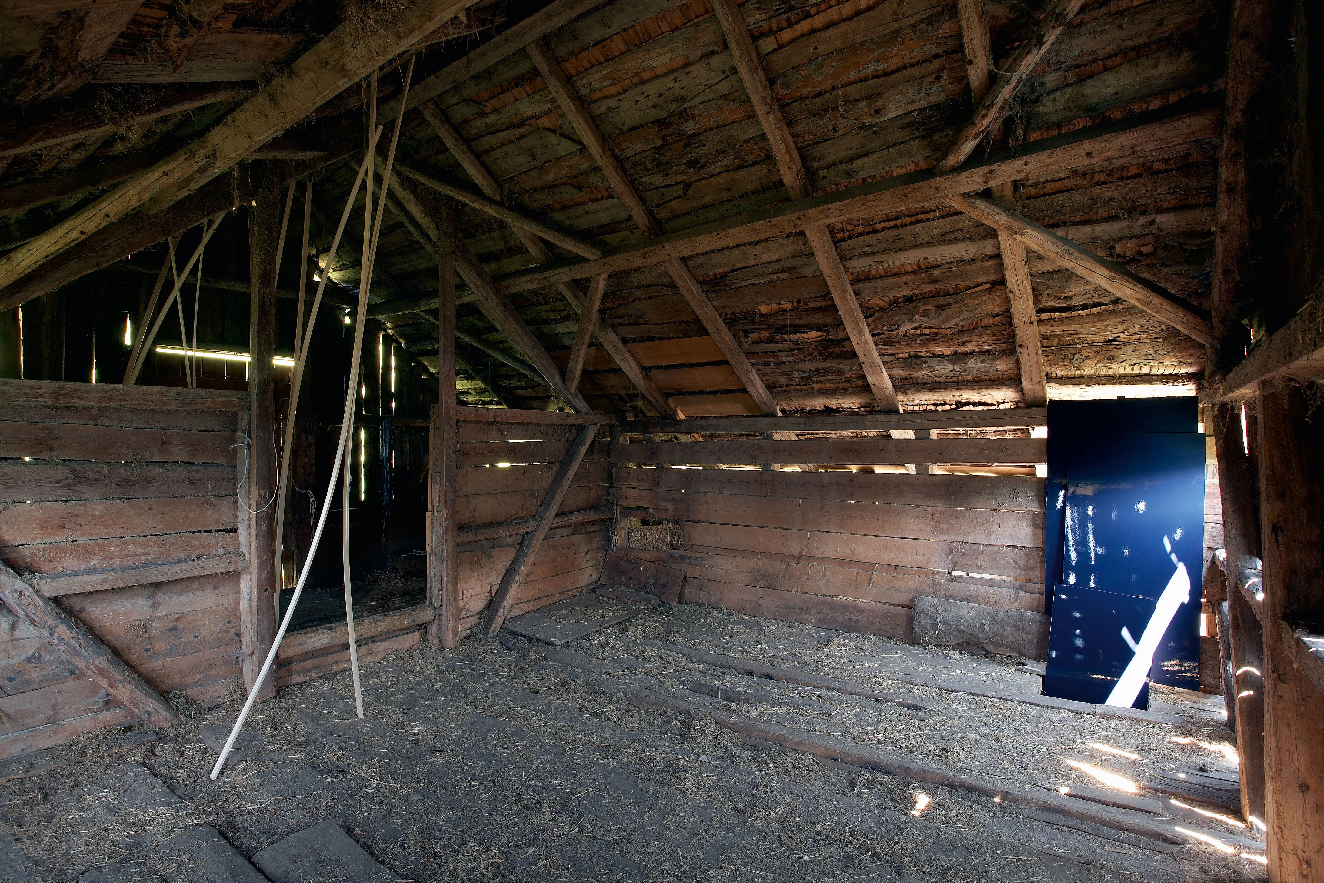 Karin Hueber – Die mondänen Besucher I und II, 2008 – Foto: David Aebi