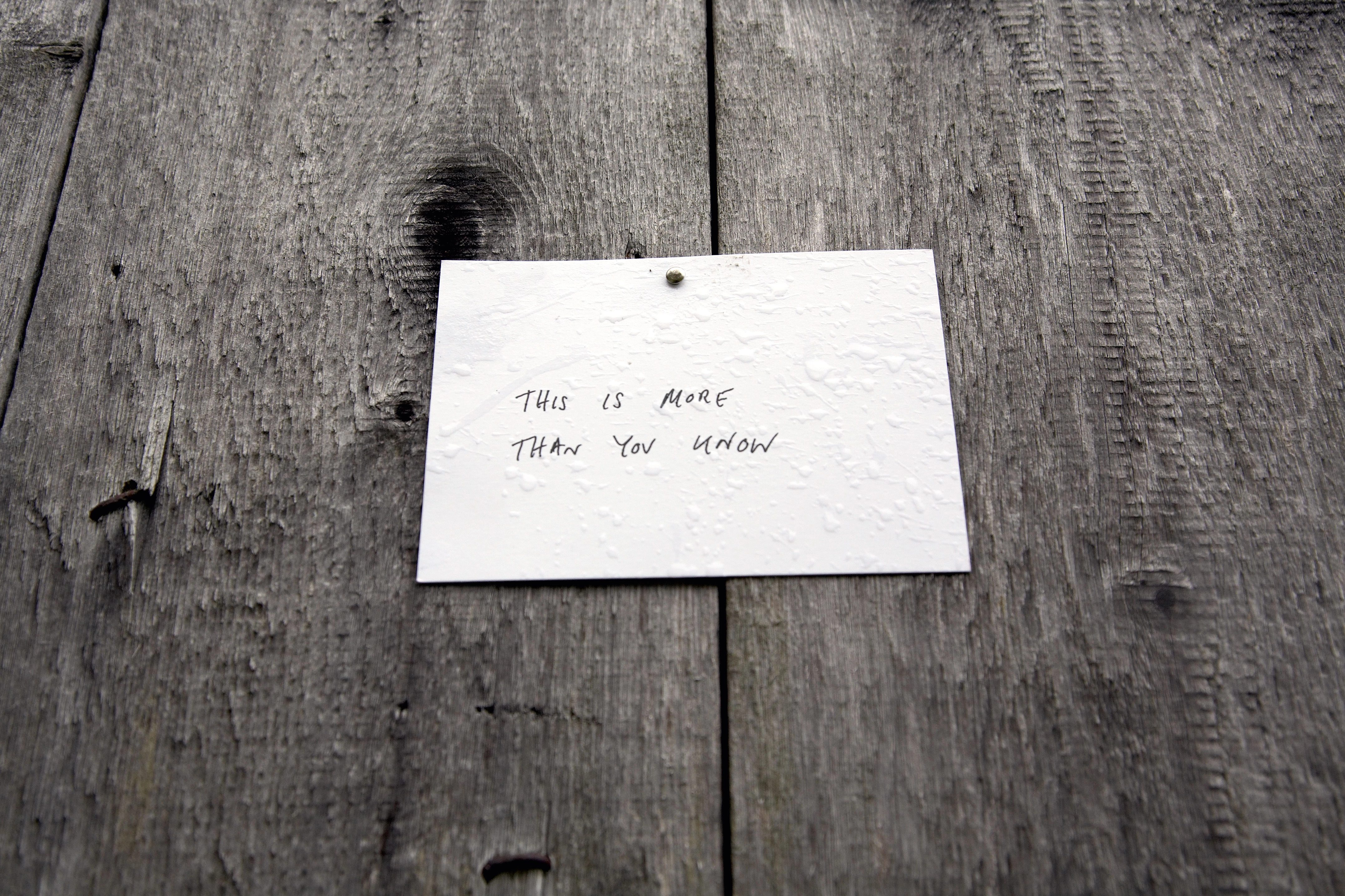 Giorgio Sadotti – THIS IS MORE THAN YOU KNOW, 2008 – Foto: David Aebi