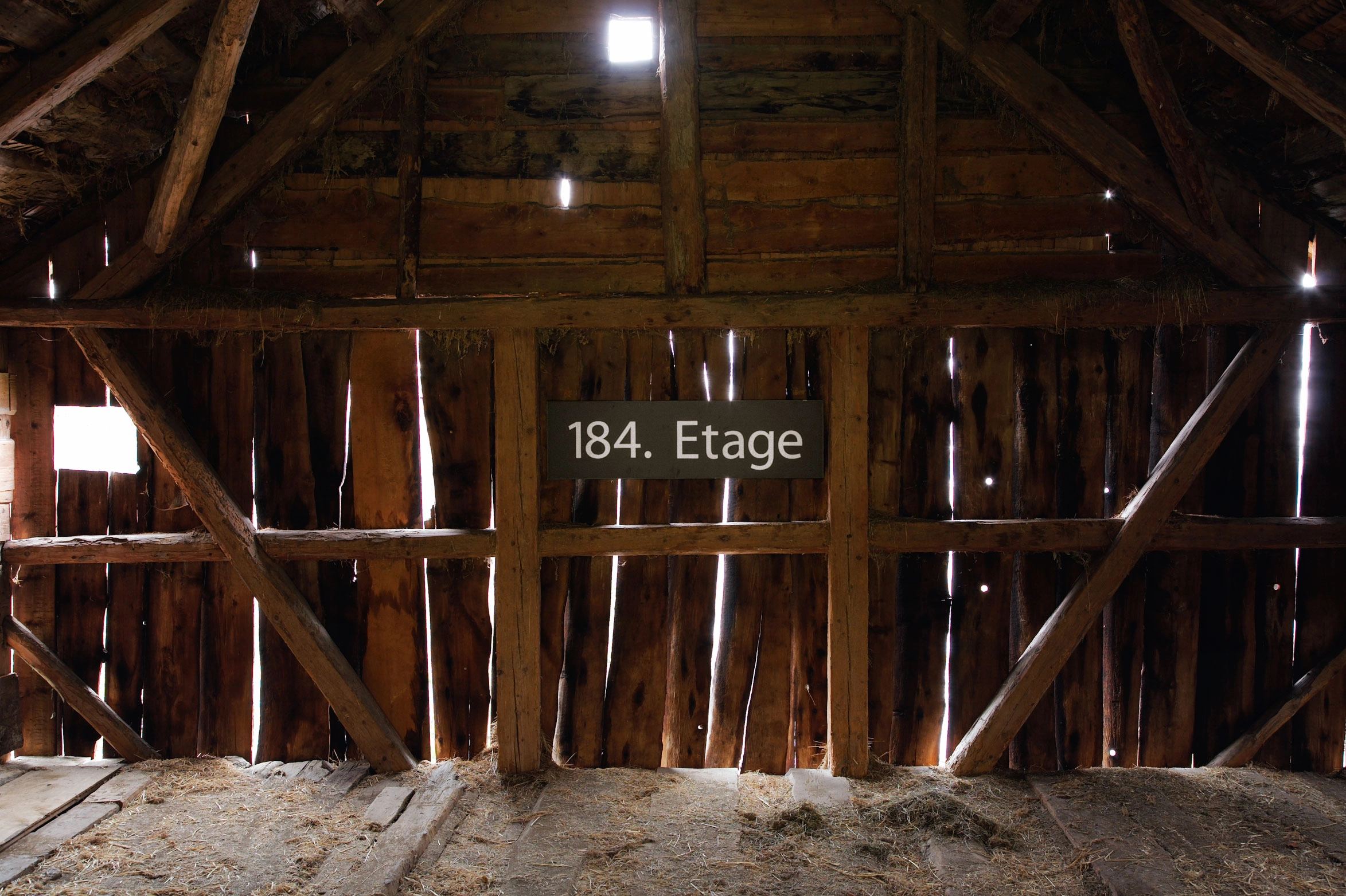 Elizabeth Wright – Hochhaus, 2003 – Photo: David Aebi