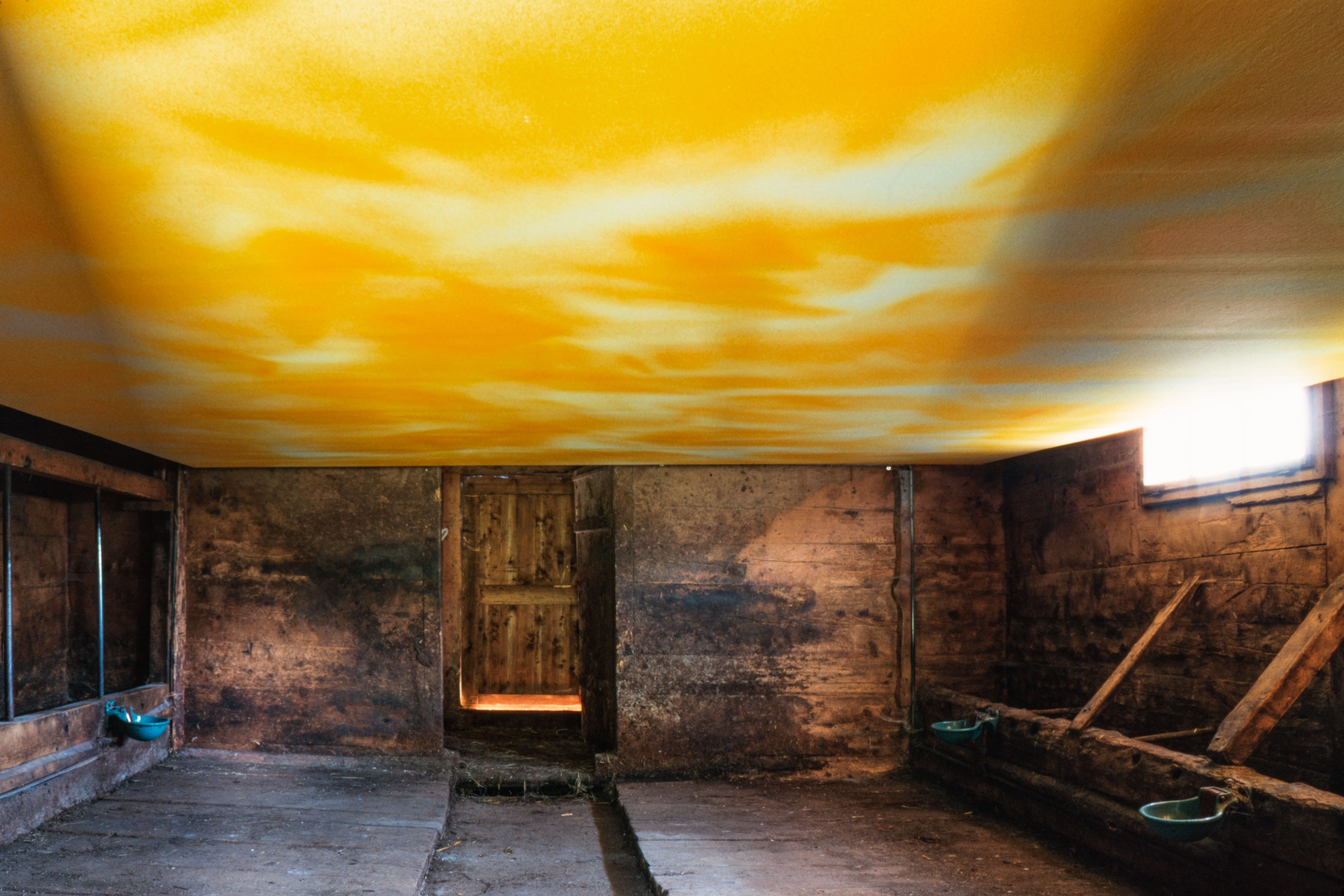 Katharina Grosse – Katharina Grosse, 1999 – Photo: Michael Fontana