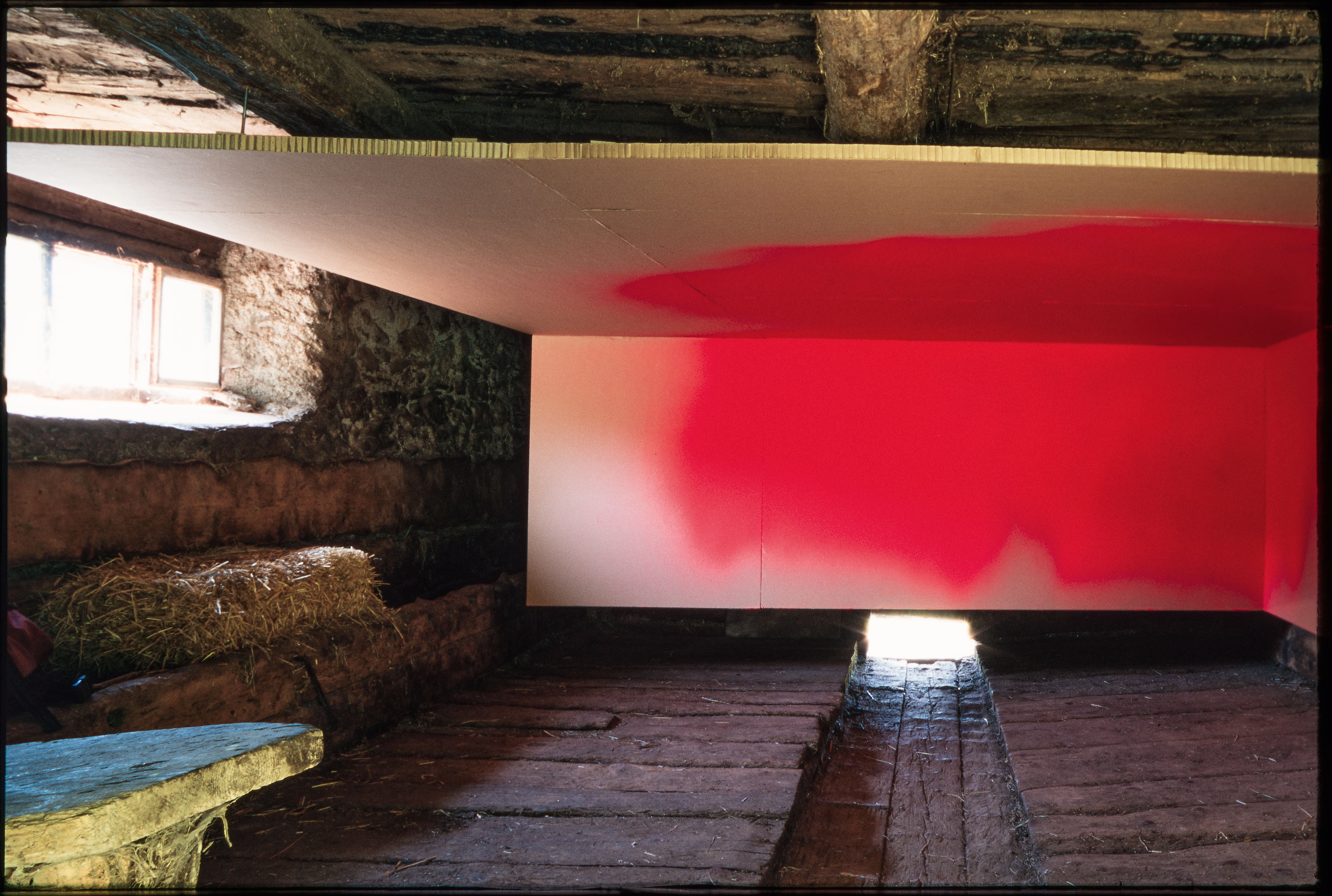 Katharina Grosse – Katharina Grosse, 1999 – Photo: Michael Fontana