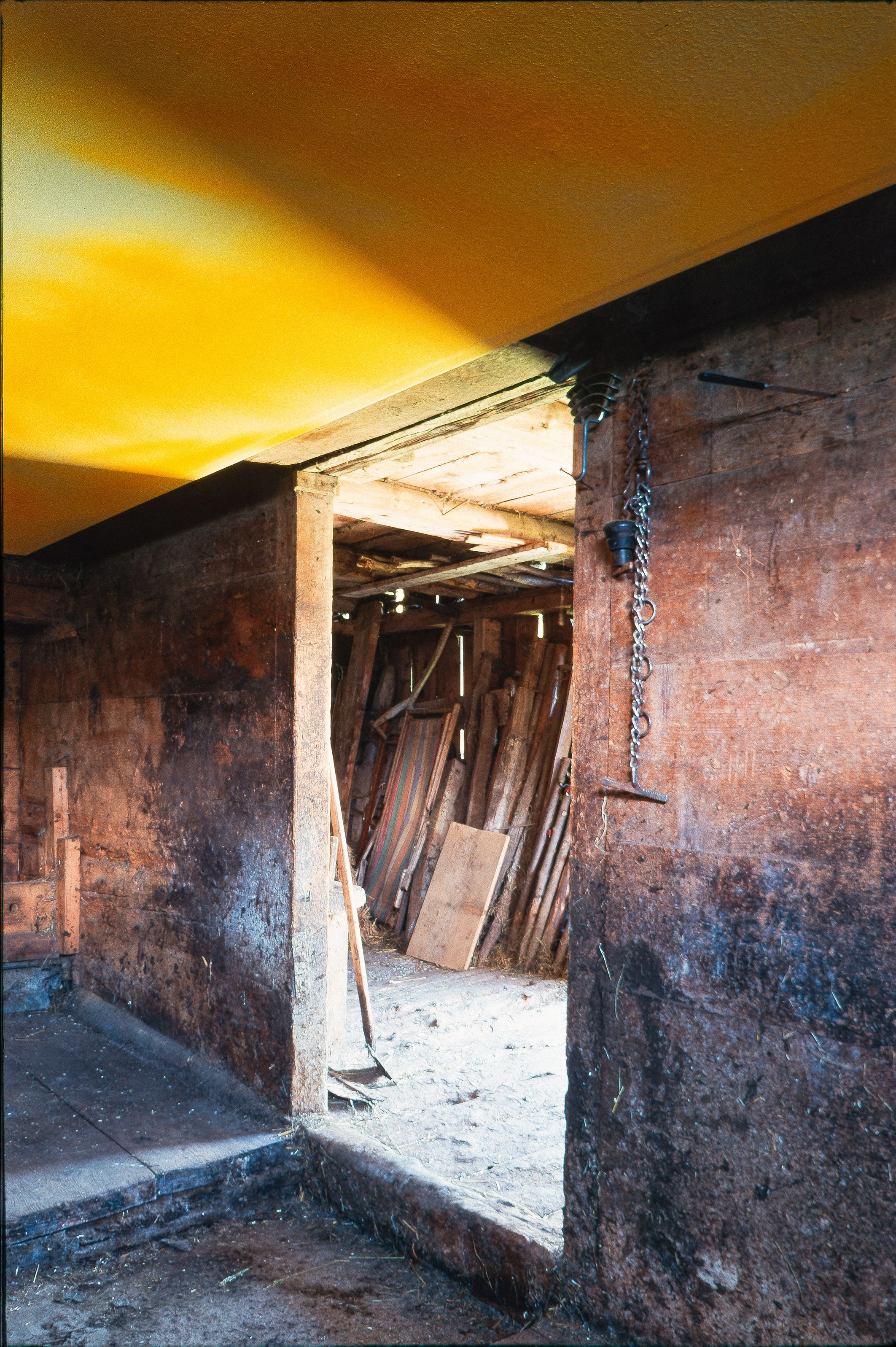 Katharina Grosse – Katharina Grosse, 1999 – Photo: Michael Fontana