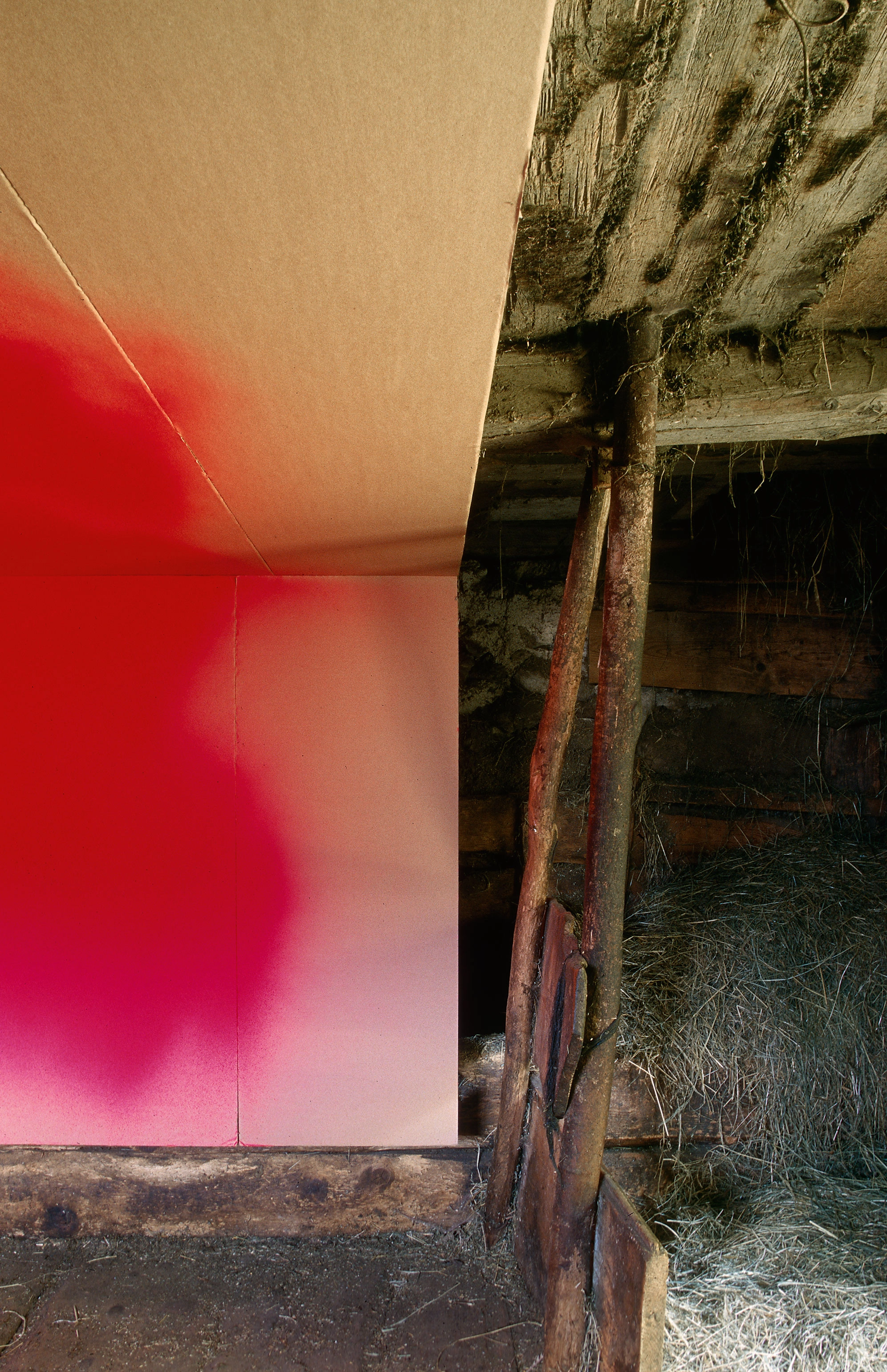 Katharina Grosse – Katharina Grosse, 1999 – Photo: Michael Fontana