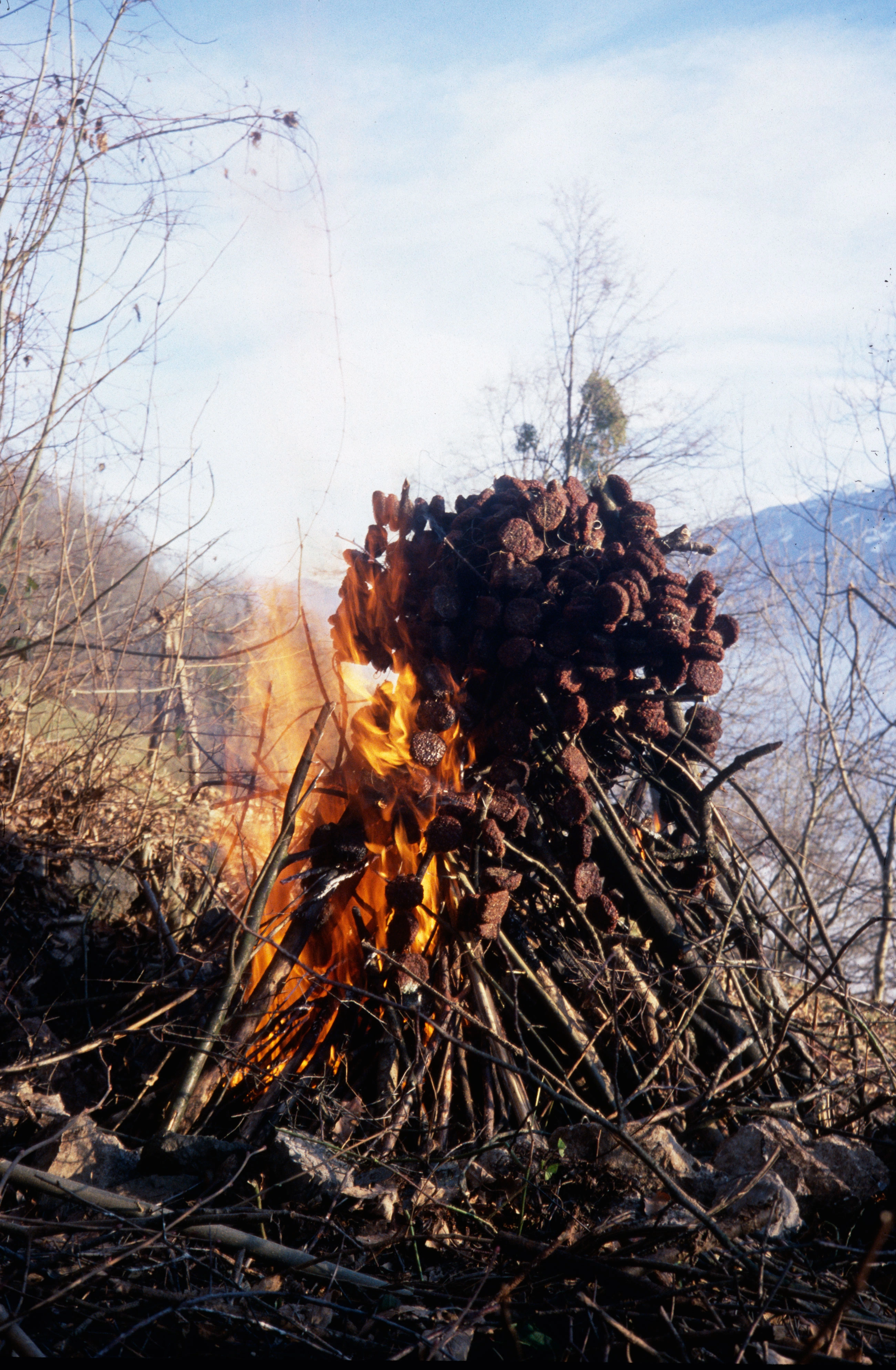 Erik Steinbrecher – Schluss mit Öko, 2007 – Foto: Roman Kurzmeyer