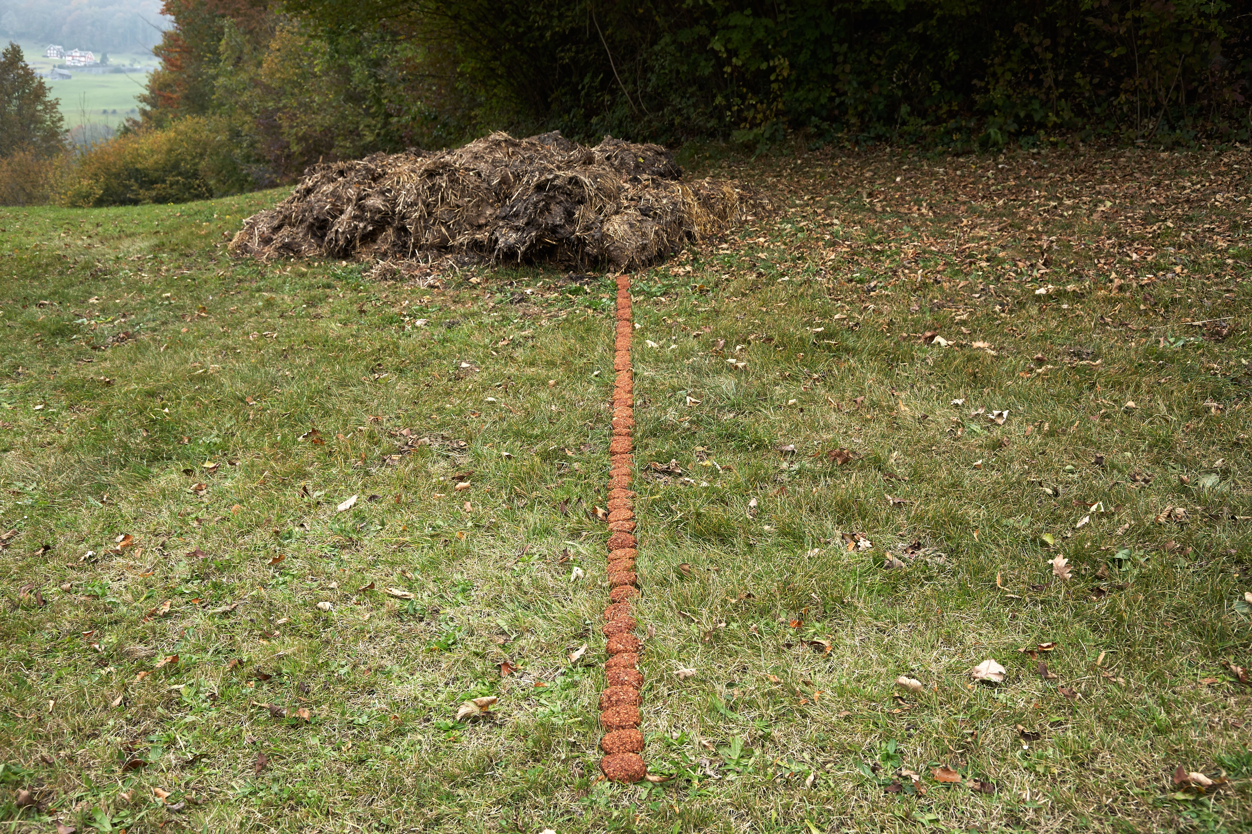 Erik Steinbrecher – Schluss mit Öko, 2007 – Foto: David Aebi