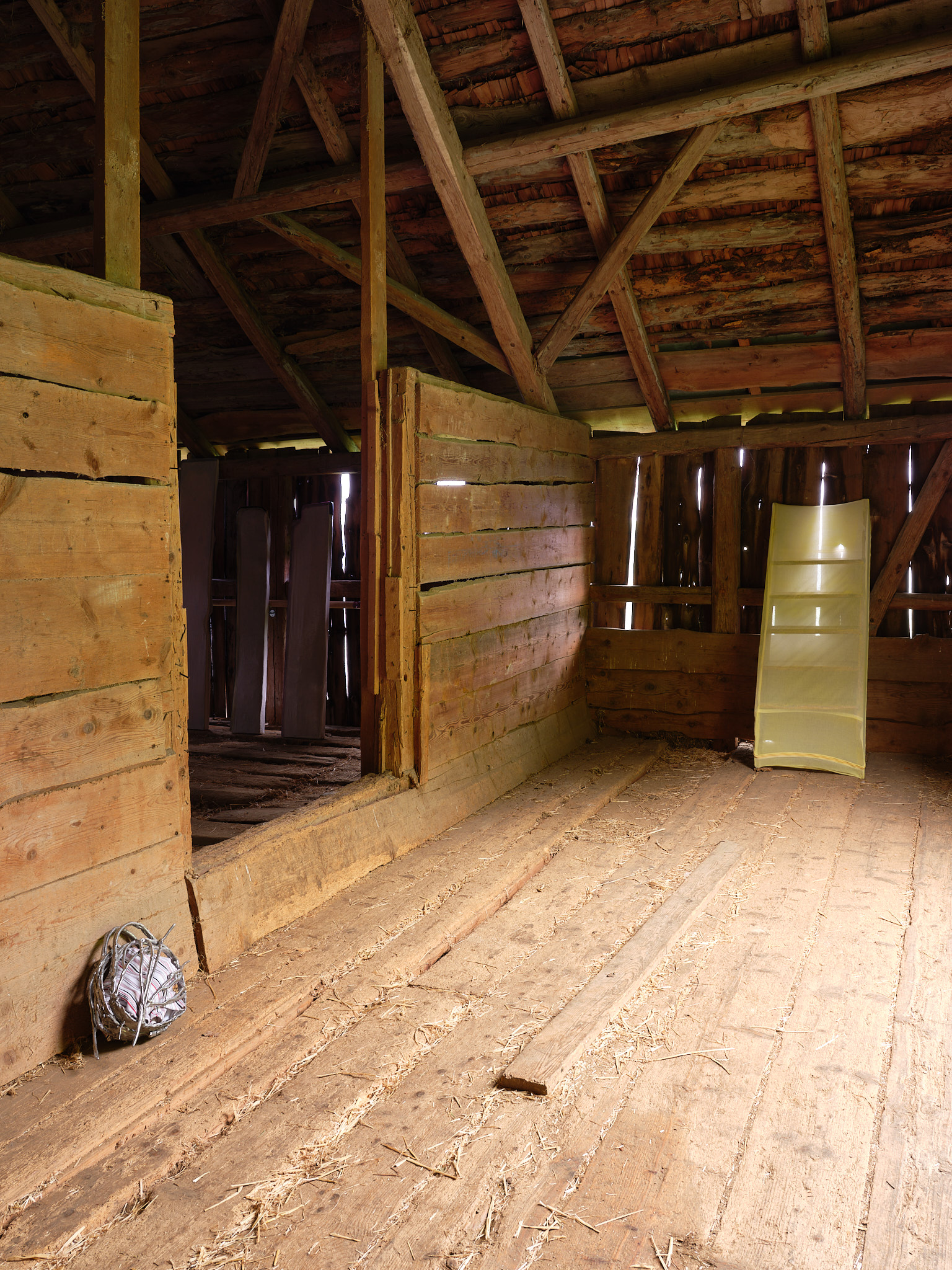 Gil Pellaton – Bo Butterfly, 2024 – Foto: David Aebi