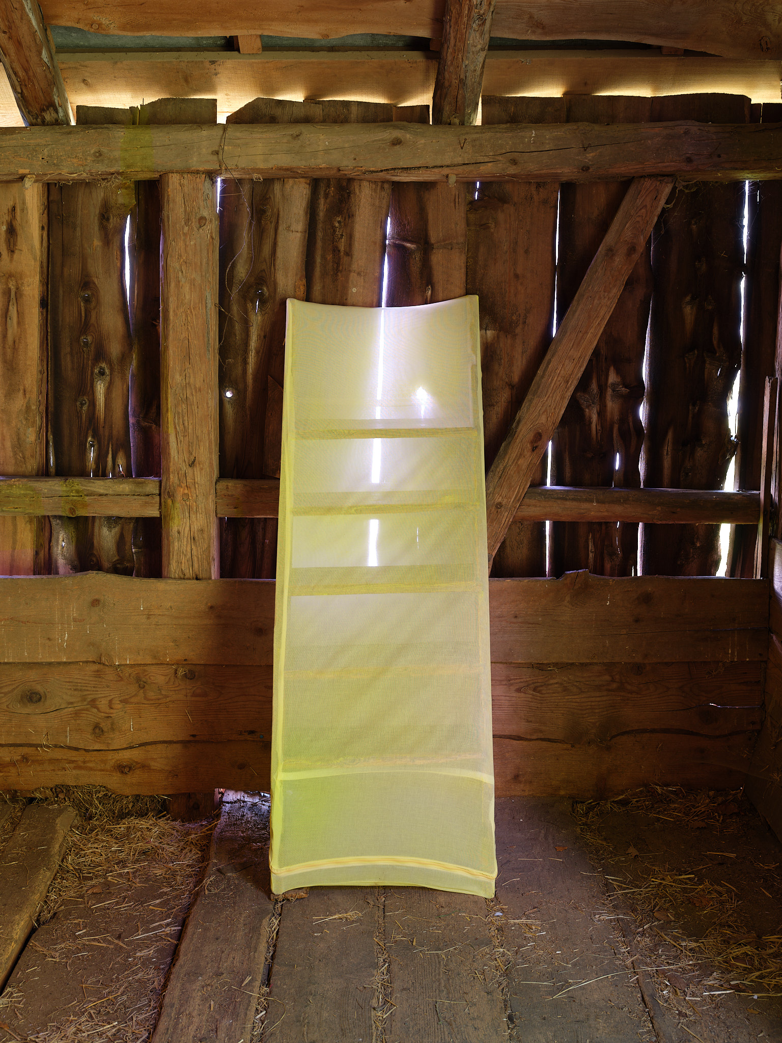 Gil Pellaton – Bo Butterfly, 2024 – Foto: David Aebi