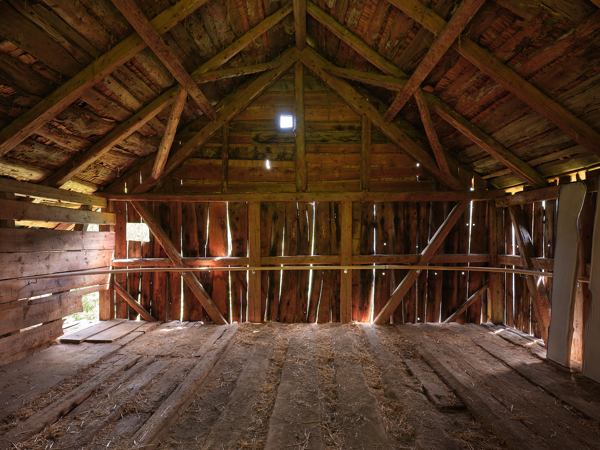 Gil Pellaton – Bo Butterfly, 2024 – Foto: David Aebi